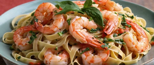 shrimp pasta,seafood pasta,baked shrimp with glass noodles,fettuccine and shrimp,scampi shrimp,scampi,pad thai prawn,shrimp salad,fra diavolo sauce,linguine,pilselv shrimp,the best sweet shrimp,spaghetti aglio e olio,boiled shrimp,prawns in tomato sauce,seafood in sour sauce,tagliatelle,freshwater prawns,vegetable prawn salad,grilled prawns,Illustration,Vector,Vector 03