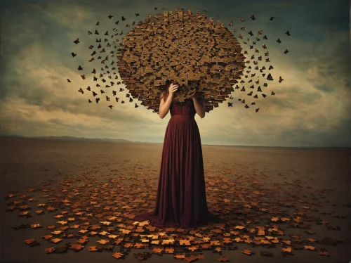 conceptual photography,windfall,abundance,fallen acorn,equilibrist,flying seeds,equilibrium,defoliation,photo manipulation,photomanipulation,flying seed,golden apple,penny tree,throwing leaves,uprooted,girl with tree,prosperity and abundance,photomontage,oak seed,surrealistic,Photography,Artistic Photography,Artistic Photography 14