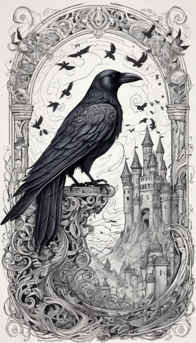 corvidae,raven bird,murder of crows,black raven,corvus,crows,black crow,jackdaw,crows bird,crow queen,ravens,arches raven,crow,raven,raven rook,king of the ravens,raven's feather,hogwarts,carrion crow,corvid,Illustration,Black and White,Black and White 05