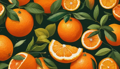 oranges,tangerines,citrus,oranges half,fresh orange,valencia orange,orange slices,mandarin oranges,mandarins,mandarin orange,tangerine fruits,orange,clementines,green oranges,lemon wallpaper,tangerine,citrus fruit,half of the oranges,orange fruit,juicy citrus,Illustration,Realistic Fantasy,Realistic Fantasy 36