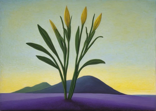 tommie crocus,desert flower,still life of spring,saffron crocus,crocus,tulipan violet,cretan crocus,tasmanian flax-lily,carol colman,matruschka,spring crocus,the trumpet daffodil,star-of-bethlehem,jonquils,crocuses,crocuss,purple crocus,the lavender flower,grape-grass lily,spring equinox,Art,Artistic Painting,Artistic Painting 26