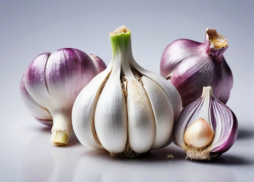 persian onion,cultivated garlic,clove garlic,head of garlic,a clove of garlic,chinese garlic,garlic,garlic bulbs,clove of garlic,still life with onions,sweet garlic,onion bulbs,white onions,garlic bulb,endive,bulgarian onion,garlic cloves,rosy garlic,allium,allium giganteum,Photography,Fashion Photography,Fashion Photography 02