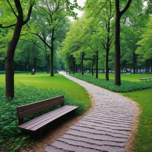 tree lined path,walk in a park,benches,wooden path,pathway,tree-lined avenue,aaa,forest path,urban park,park bench,tree lined lane,park akanda,row of trees,wooden bench,tiergarten,green space,walkway,kurpark,tree lined,aa,Illustration,American Style,American Style 03
