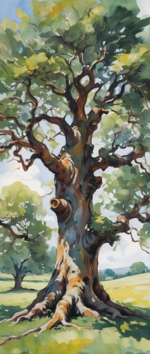 oak tree,painted tree,old gnarled oak,elm tree,oak,rosewood tree,old tree,watercolor tree,two oaks,celtic tree,brown tree,a tree,flourishing tree,tree,fig tree,olive tree,red oak,highland oaks,vinegar tree,bare tree,Conceptual Art,Oil color,Oil Color 18