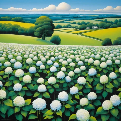 blooming field,tulips field,poppy fields,poppy field,flower field,daffodil field,chives field,douglas' meadowfoam,cotton grass,hare field,green fields,tulip field,field of flowers,flowers field,lily of the field,lilly of the valley,vegetables landscape,spring onions,mushroom landscape,cultivated field,Art,Artistic Painting,Artistic Painting 33