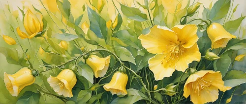 yellow daylilies,daylilies,yellow daylily,light yellow daylily,yellow bells,yellow iris,yellow tulips,daylily,day lily,daffodils,day lily plants,easter lilies,hemerocallis,yellow daffodils,yellow bell,flower painting,lillies,trumpet flowers,yellow flowers,calla lilies,Conceptual Art,Fantasy,Fantasy 08