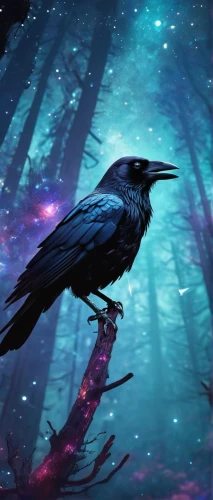 3d crow,nocturnal bird,raven bird,king of the ravens,black raven,night bird,raven rook,black crow,corvidae,crows bird,raven's feather,murder of crows,steller s jay,magpie,crows,fantasy picture,crow-like bird,crow,bird painting,corvus,Conceptual Art,Sci-Fi,Sci-Fi 30