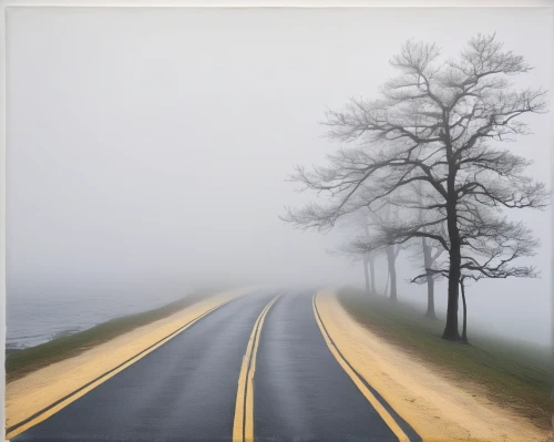 foggy landscape,dense fog,empty road,foggy day,fog banks,north american fog,ground fog,coastal road,fog,veil fog,road to nowhere,early fog,the road,roads,high fog,mountain road,the fog,road forgotten,long road,vanishing point,Conceptual Art,Daily,Daily 18