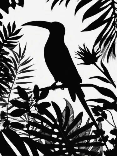 animal silhouettes,tropical bird climber,crow in silhouette,tropical bird,malabar pied hornbill,oriental pied hornbill,female silhouette,palm tree silhouette,tropical birds,lesser pied hornbill,new caledonian crow,black toucan,bird pattern,palm tree vector,perched toucan,an ornamental bird,swainson tucan,palm silhouettes,ivory-billed woodpecker,hornbill,Illustration,Black and White,Black and White 33