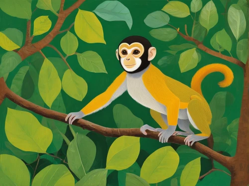 squirrel monkey,long tailed macaque,de brazza's monkey,ring-tailed,guenon,gibbon,monkey banana,tamarin,langur,barbary monkey,cercopithecus neglectus,macaque,gibbon 5,uakari,primate,monkey island,monkey,white-fronted capuchin,primates,white-headed capuchin,Art,Artistic Painting,Artistic Painting 28