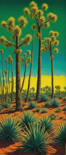 desert plants,desert desert landscape,desert landscape,arid landscape,joshua trees,desert plant,mesquite flats,arid land,arid,dune landscape,desert background,alien planet,desert,desertification,the desert,capture desert,flowerful desert,desert planet,desert coral,desert palm,Conceptual Art,Daily,Daily 19