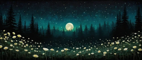 fireflies,moonlight cactus,glowworm,firefly,star of bethlehem,forest of dreams,mushroom landscape,light of night,lilly of the valley,nightlight,moonflower,fairy forest,northernlight,the night of kupala,spruce forest,sci fiction illustration,the forest,lily of the field,the light bulb,light bearer,Illustration,Abstract Fantasy,Abstract Fantasy 19