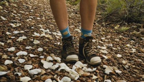 hiking socks,hiking shoes,witch's legs,seashells,espadrille,footbag,sea shells,trekking poles,witches legs,hiking shoe,gravel stones,outdoor shoe,trail running,hiker,hiking boots,balanced pebbles,blue shoes,striped squill,beach shoes,mushrooming,Illustration,Realistic Fantasy,Realistic Fantasy 09