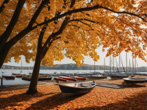 golden autumn,lake zurich,autumn scenery,autumn background,lake constance,autumn idyll,golden october,lake lucerne region,autumn day,autumn gold,lake geneva,lake lucerne,autumn morning,lake annecy,lake maggiore,just autumn,autumn season,fall landscape,autumn theme,indian summer,Photography,Documentary Photography,Documentary Photography 23