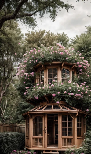 japanese architecture,japan garden,wooden house,the japanese tree,japanese garden ornament,asian architecture,sakura tree,japanese shrine,hanok,japanese cherry trees,japanese-style room,floral japanese,timber house,japanese carnation cherry,japanese column cherry,japanese cherry blossom,stilt house,tree house,japanese floral background,sakura branch