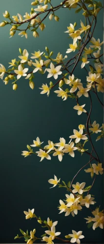 spring leaf background,japanese floral background,forsythia,spring background,amelanchier lamarckii,maple foliage,night-blooming jasmine,floral digital background,springtime background,winter jasmine,ginko,gum leaves,intensely green hornbeam wallpaper,leaf background,japanese sakura background,yellow leaves,tree leaves,foliage coloring,autumnalis,jasminum,Photography,Fashion Photography,Fashion Photography 12