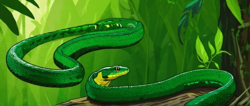 green tree snake,green tree python,green mamba,green snake,tree snake,emerald lizard,tree python,gree tree python,western green mamba,morelia viridis,green-tailed emerald,smooth greensnake,quetzal,yellow python,cuban emerald,patrol,anaconda,boa constrictor,sri lanka,african house snake,Illustration,Vector,Vector 03