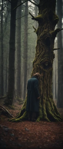 girl with tree,conceptual photography,the girl next to the tree,dryad,photo manipulation,forest man,crooked forest,tree thoughtless,the forest fell,photomanipulation,uprooted,digital compositing,a fairy tale,the roots of trees,enchanted forest,forest tree,the forest,druid grove,the woods,rooted,Photography,General,Cinematic