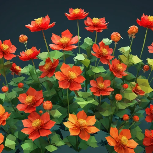 trollius download,nasturtiums,orange red flowers,flowers png,red orange flowers,nasturtium,geum rival,geum,orange flowers,geum coccineum,flower background,corn poppies,poppy flowers,marigolds,poppies,red anemones,potted flowers,orange petals,deep coral zinnia,geum urbanum,Unique,3D,Low Poly