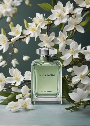 scent of jasmine,pear blossom,lilly of the valley,tuberose,fragrance,lily of the field,lily of the valley,mock orange,parfum,orange blossom,sego lily,plum blossom,white lilac,lily of the nile,almond blossoms,still life of spring,fleure,apricot blossom,cape jasmine,lily water,Photography,Fashion Photography,Fashion Photography 12