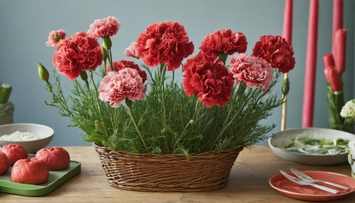 spring carnations,red tulips,red carnations,ranunculus red,red ranunculus,tulips,tulip bouquet,wheat celosia,carnations arrangement,sea carnations,tulip flowers,flowers png,carnation coloring,hyacinths,tulip background,two tulips,tulipa tarda,tulipa,pink tulips,carnations,Illustration,Realistic Fantasy,Realistic Fantasy 31
