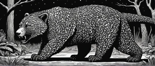 ursa,line art animals,ursa major,line art animal,ursa major zodiac,bear guardian,nordic bear,giant anteater,uintatherium,bear,american black bear,grizzlies,forest animal,great bear,cub,sloth bear,bear kamchatka,kodiak bear,silverback,grizzly bear,Illustration,Black and White,Black and White 14