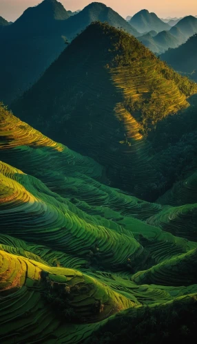 rice terraces,rice fields,rice field,rice terrace,ricefield,ha giang,the rice field,green landscape,rice paddies,mountainous landscape,tea plantations,yunnan,vietnam,tea field,green fields,mountain landscape,mountainous landforms,vegetables landscape,paddy field,southeast asia,Illustration,Realistic Fantasy,Realistic Fantasy 29