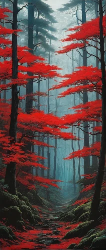 red juniper,inari,haunted forest,the forest,forest fire,forest,digital painting,the sea of red,pine forest,forest of dreams,world digital painting,foggy forest,landscape red,forest fish,red tree,fir forest,yakushima,the forests,arashiyama,tsukemono,Conceptual Art,Fantasy,Fantasy 04