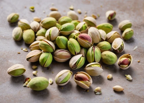 pistachio nuts,cardamom,pistachios,pine nut,almond nuts,indian almond,pumpkin seed,pine nuts,pumpkin seeds,mung bean,pistachio,seeds,fennel seeds,moong bean,almond meal,nuts & seeds,mung beans,common bean,unshelled almonds,salted almonds,Conceptual Art,Oil color,Oil Color 05