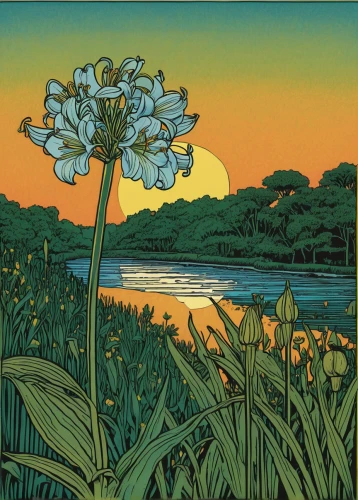cool woodblock images,cowslip,swamp iris,flower in sunset,lilies of the valley,olle gill,david bates,broccoflower,woodblock prints,pond flower,lilly of the valley,jonquils,water-the sword lily,irises,wild iris,tommie crocus,summer flower,jonquil,evening lake,carol colman,Illustration,Vector,Vector 15