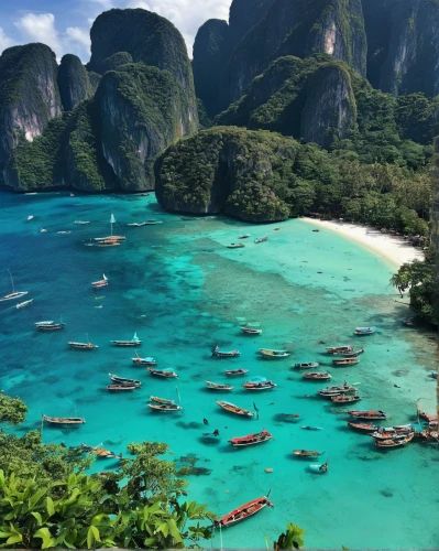 koh phi phi,krabi thailand,phang nga bay,khao phing kan,andaman sea,railay bay,southeast asia,phuket province,nusa penida,thailand,phuket,raja ampat,philippines,philippines php,teal blue asia,halong bay,philippines scenery,thailad,vietnam,thai,Illustration,Vector,Vector 20