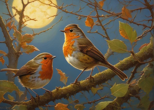 songbirds,bird robins,robins in a winter garden,birds on a branch,birds on branch,bird painting,bird couple,garden birds,little birds,small birds,birds singing,finches,zebra finches,wild birds,perched birds,young birds,robin redbreast,tropical birds,crossbills,sparrows,Illustration,Realistic Fantasy,Realistic Fantasy 03