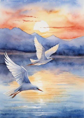 dove of peace,doves of peace,watercolor bird,watercolor painting,trumpeter swans,royal tern,peace dove,watercolor background,bird painting,fairy tern,watercolor,watercolor paint,fujian white crane,tundra swan,crested terns,white dove,watercolour,tern flying,tern bird,flying tern,Art,Classical Oil Painting,Classical Oil Painting 02