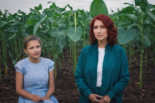 i̇mam bayıldı,dizi,romanescu,elvan,farm background,farmers,farm set,crops,agroculture,green screen,cümbüş,yasemin,keşkek,zurna,two girls,corn field,millet,farmer,video film,vulkanerciyes,Photography,Documentary Photography,Documentary Photography 30