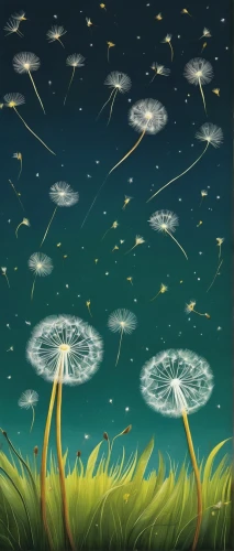 flying dandelions,dandelion background,fireflies,dandelion seeds,dandelions,dandelion flying,dandelion field,dandelion meadow,taraxacum,flying seeds,cosmos field,taraxacum ruderalia,mushroom landscape,dandelion,fairy galaxy,jellyfishes,taraxacum officinale,ufos,meteor shower,star winds,Illustration,Abstract Fantasy,Abstract Fantasy 03