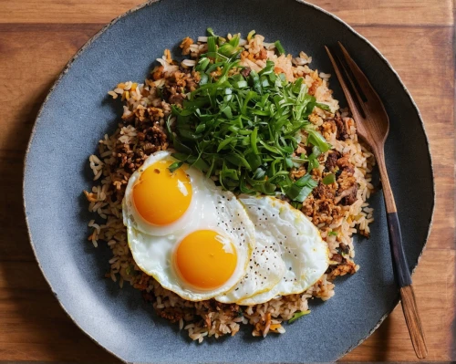 kimchi fried rice,rice with minced pork and fried egg,nasi goreng,rice with fried egg,bibimbap,yeung chow fried rice,thai fried rice,okonomiyaki,gallo pinto,sisig,special fried rice,naengmyeon,egg wrapped fried rice,katsudon,rice bowl,fried rice,braised pork rice,yakisoba,hayashi rice,egg dish,Conceptual Art,Oil color,Oil Color 15