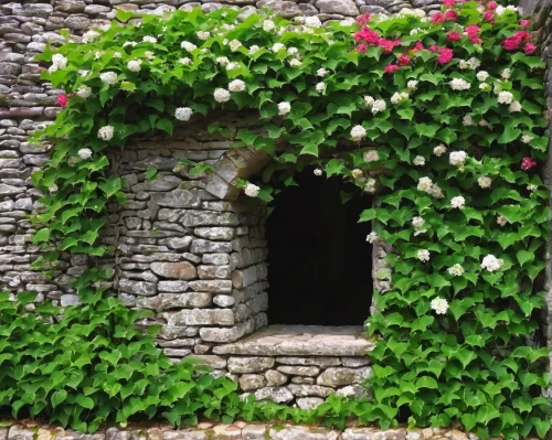 flowering vines,rose arch,ivy frame,flower wall en,cottage garden,rose wreath,garden door,stone wall,wreath of flowers,blooming wreath,farmer's jasmine,bougainvilleas,wall,trerice in cornwall,flower wreath,hedge rose,flower boxes,climbing garden,floral corner,floral wreath,Illustration,Black and White,Black and White 06