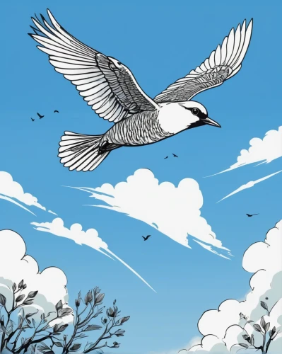 fairy tern,magpie lark,crested terns,silver tern,bird illustration,flying tern,little tern,flower and bird illustration,dove of peace,black tern,magpie,sandwich tern,river tern,in flight,bird in flight,whiskered tern,bird in the sky,tern bird,bird migration,tern,Illustration,Vector,Vector 11