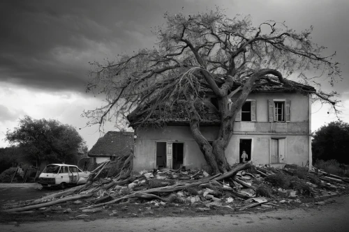 witch's house,witch house,crooked house,uprooted,oradour sur glane,creepy house,oradour-sur-glane,abandoned house,ancient house,broken tree,creepy tree,the roots of trees,tree house,dilapidated,old house,house insurance,home destruction,damaged tree,old home,old tree,Photography,Black and white photography,Black and White Photography 02