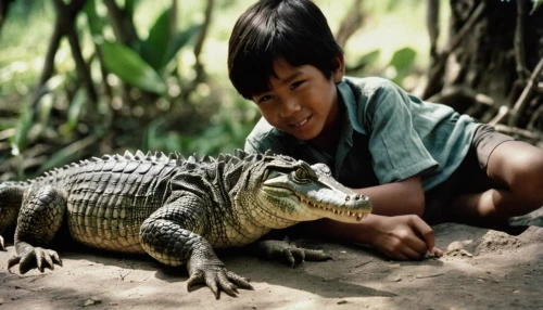 philippines crocodile,real gavial,green iguana,muggar crocodile,crocodilian reptile,ankylosaurus,terrestrial animal,south american alligators,giant lizard,komodo dragons,terrestrial vertebrate,little crocodile,iguana,iguanidae,crocodile park,crocodilian,tropical animals,exotic animals,ring-tailed iguana,missisipi aligator,Photography,Documentary Photography,Documentary Photography 02