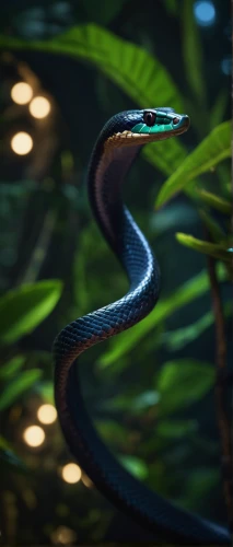 tree snake,smooth greensnake,african house snake,indian cobra,green tree snake,vine snake,blue snake,western terrestrial garter snake,common garter snake,water snake,plain bellied watersnake,glossy snake,garter snake,eastern indigo snake,pointed snake,ribbon snake,rat snake,banded water snake,king cobra,ringneck snake,Photography,General,Commercial