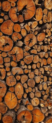 wood texture,ornamental wood,wood pile,natural wood,wood structure,wood background,pile of wood,pile of firewood,the pile of wood,slice of wood,wood,patterned wood decoration,wood fence,wood and leaf,iron wood,laminated wood,firewood,logs,wooden wall,in wood,Conceptual Art,Daily,Daily 07