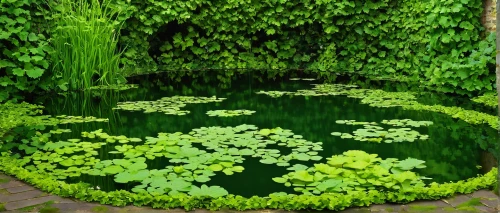 garden pond,lilly pond,lily pond,pond plants,koi pond,green waterfall,lily pads,water plants,lily pad,lotus pond,green trees with water,fountain pond,green garden,fish pond,pond,wishing well,patrol,aa,green water,aaa,Art,Classical Oil Painting,Classical Oil Painting 17