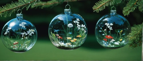 glass ornament,glass decorations,fir tree decorations,christmas ornaments,snowglobes,christmas baubles,christmas tree bauble,christmas tree decorations,baubles,ornaments,snow globes,tree decorations,glass yard ornament,christmas bulbs,christmas bells,christmas tree decoration,christmas ball ornament,christmas bauble,christmas tree ornament,holiday ornament,Photography,Documentary Photography,Documentary Photography 12