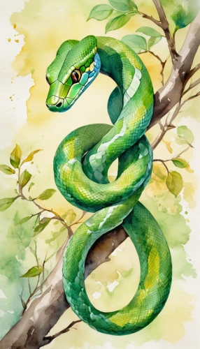 green tree snake,green snake,tree snake,boa constrictor,green tree python,constrictor,green mamba,illustration,water snake,serpent,smooth greensnake,pointed snake,african house snake,sharptail snake,tree python,garter snake,grass snake,python,snakebite,snake kawaii,Illustration,Paper based,Paper Based 25