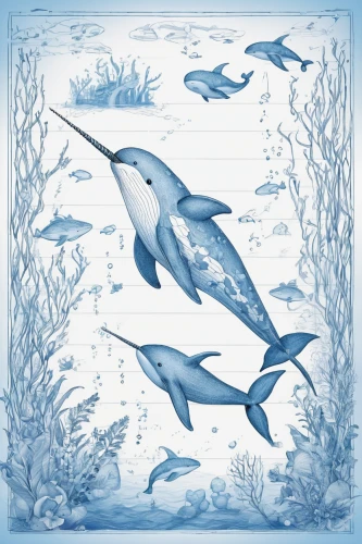 common dolphins,bottlenose dolphins,oceanic dolphins,dolphin background,forage fish,common bottlenose dolphin,bottlenose dolphin,white-beaked dolphin,cetacea,dolphins in water,dolphins,cetacean,dolphin fish,dolphin school,short-beaked common dolphin,porpoise,dolphin-afalina,sea mammals,rough-toothed dolphin,two dolphins,Unique,Design,Blueprint