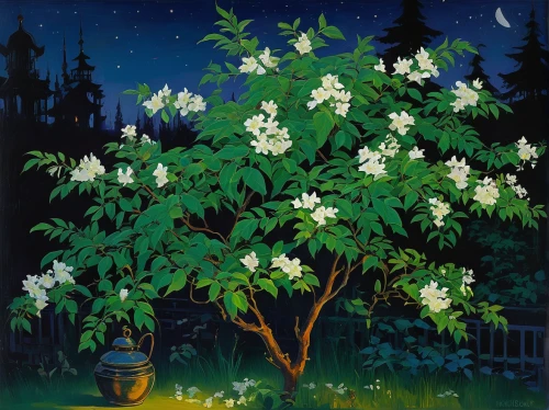 night-blooming jasmine,jasmine-flowered nightshade,night scented jasmine,philadelphus erectus,night-blooming cestrum,farmer's jasmine,jasminum,nightshade plant,jasmine blossom,star jasmine,blossoming apple tree,moonflower,jasmine flowers,cape jasmine,mock orange,jasmin-solanum,solanum jasminoides,jasmine flower,a beautiful jasmine,garden star of bethlehem,Art,Classical Oil Painting,Classical Oil Painting 27