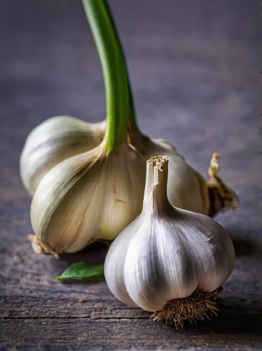 cultivated garlic,clove garlic,a clove of garlic,sweet garlic,head of garlic,garlic,hardneck garlic,persian onion,clove of garlic,chinese garlic,garlic bulb,garlic cloves,garlic bulbs,welsh onion,red garlic,rosy garlic,still life with onions,cloves of garlic,white onions,onion bulbs,Illustration,American Style,American Style 02