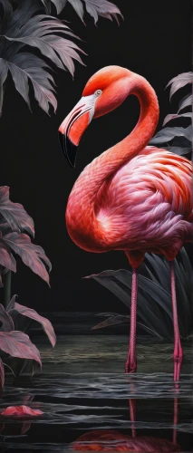 greater flamingo,flamingo,pink flamingo,flamingos,cuba flamingos,two flamingo,flamingo couple,flamingo with shadow,flamingoes,flamingo pattern,bird painting,pink flamingos,tropical bird,tropical birds,lawn flamingo,exotic bird,tropical animals,colorful birds,scarlet ibis,animal photography,Illustration,Japanese style,Japanese Style 18