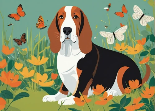 basset hound,dog illustration,welsh springer spaniel,treeing walker coonhound,english coonhound,basset bleu de gascogne,coonhound,american foxhound,bassett,scent hound,beagle,pet portrait,kooikerhondje,entlebucher mountain dog,english foxhound,bruno jura hound,hanover hound,bavarian mountain hound,hunting dog,beaglier,Illustration,Vector,Vector 13